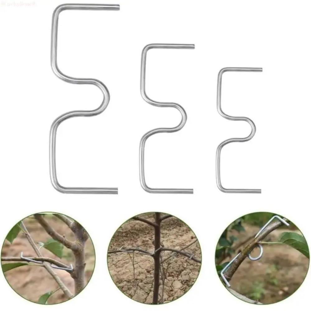 M-Type Fruit Tree Branch Bender, Branch Shaping Fixator for Upward Lateral Branches, Garden Fruit Tree Branch Pressing Training Tool