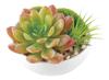 Kishima CT Catalyst Deodorizing Artificial Green Succulent Reflex KH-60988