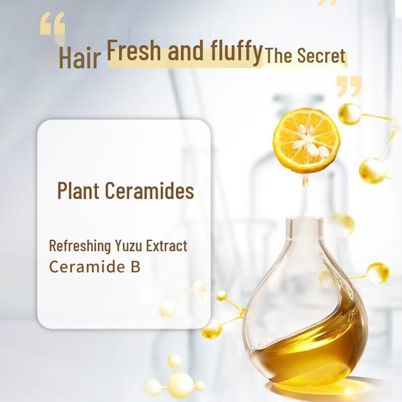 Syoss Refreshing Grapefruit Oil Control & Volumizing Shampoo