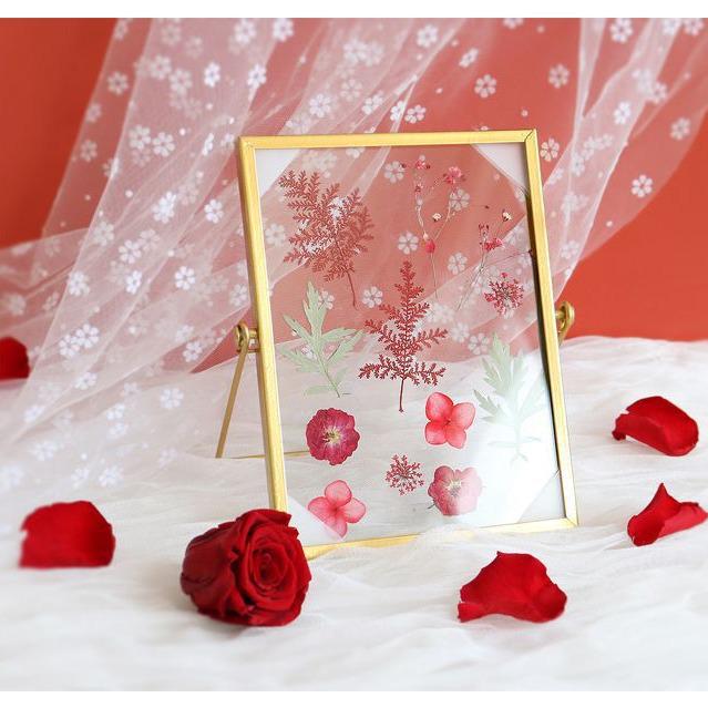 Nordic Creative DIY 3D Dried Flower Frame Kit - Simple Metal & Glass with Glue