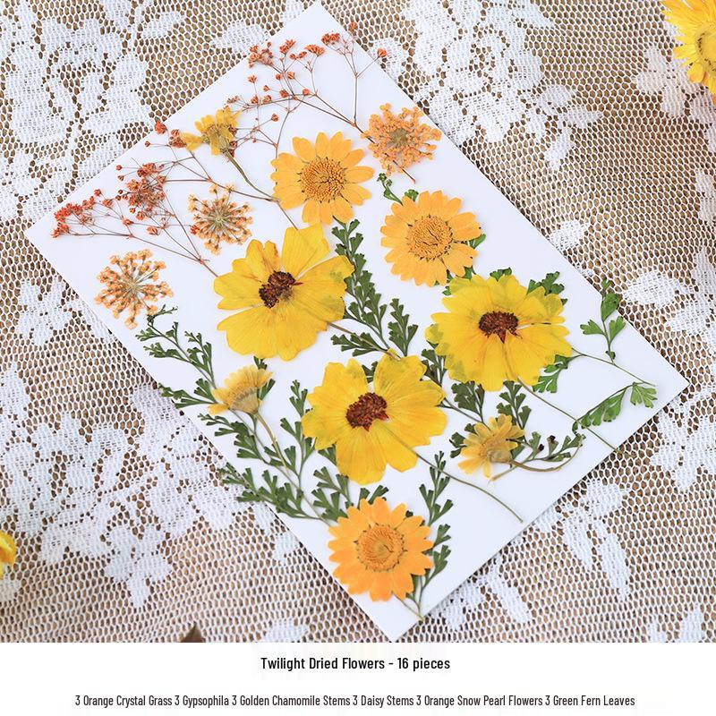 Nordic Creative DIY 3D Dried Flower Frame Kit - Simple Metal & Glass with Glue