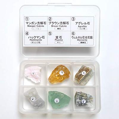 SCIENCE Fluorescent Mineral Specimens 6 Types Long Wave Long Butterfly Fluorescent Minerals Set of 6 Types Separate Plastic Case (L.W./Longwave, Wave)