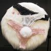 Mesh Bunny Girl Thong Stretchy Removable Ball Briefs Intimate Sheer Lace Panties  Ladies Girls