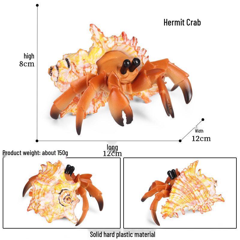 Marine Life Toy Set: Hermit Crab, Parrot Snail, Solid Plastic Animal Models for Children s Cognitive Learning & Gifts