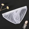 Men Briefs Mesh Elephant Nose Close Fit Mid Waist Transparent See Through Stretchy Panties for Honeymoon
