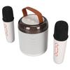 Wireless Karaoke Speakers RGB Light  5.3 Speaker with 2 Wireless Microphones Portable Karaoke Machine for Family Party