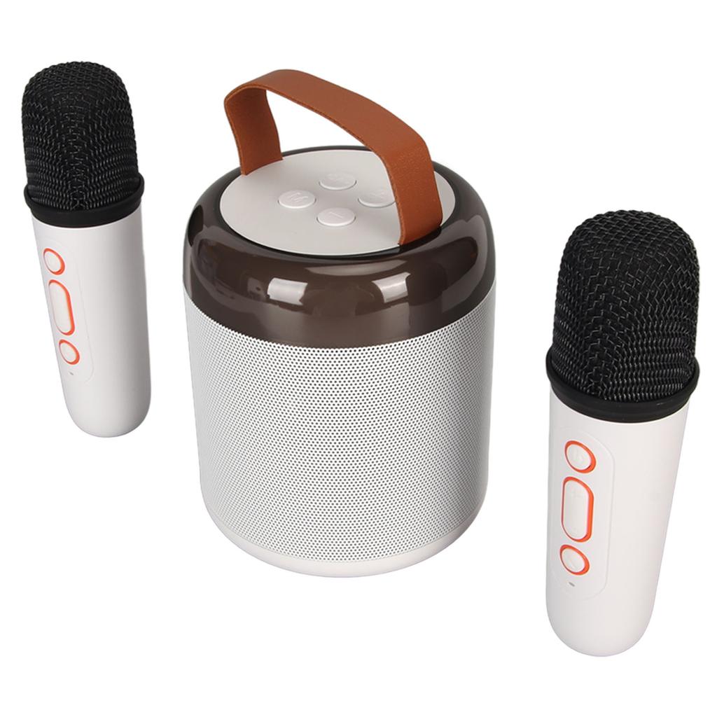 Wireless Karaoke Speakers RGB Light  5.3 Speaker with 2 Wireless Microphones Portable Karaoke Machine for Family Party