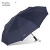 Paradise Umbrella Fully Automatic Umbrella with Ten Ribs, Fully Steel Reinforced, Foldable, Portable, Solid Color, One-Touch Open and Close