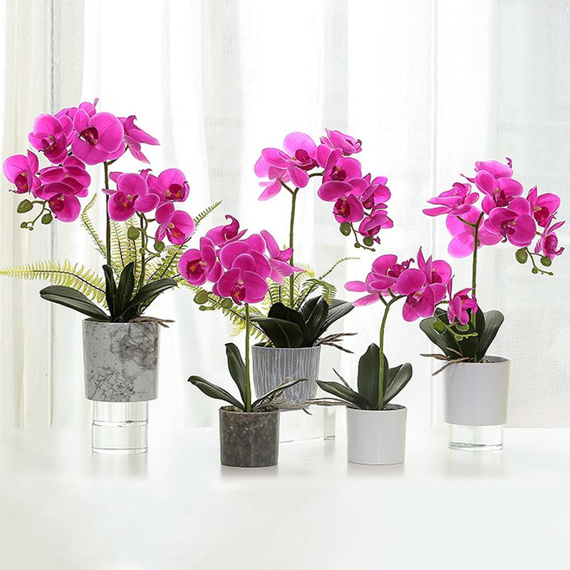 Simulation Phalaenopsis Leaves 1pc Auxiliary Touch Decorative Plants Flowers Artificial DIY Real Flower Leaf Material Spring