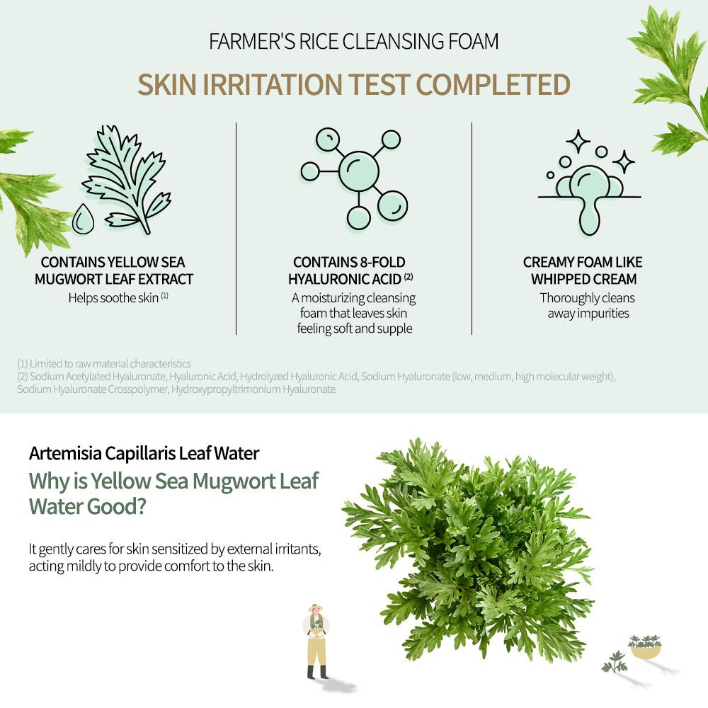 Farmstay Farmers Mugwort Cleansing Foam 180ml