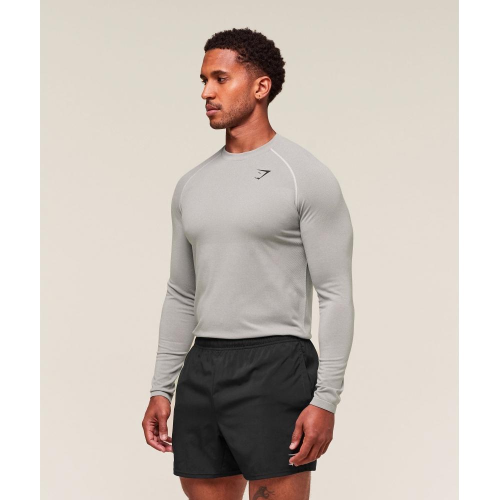 Gymshark ViTal Seamless Long Sleeve T shirT lighT Grey Smokey Grey A2b5k Gb8v