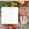 Mesh Enclosure Plant Guard Net Breathable Plant Support for Outdoor Vegetable and Flower Protection