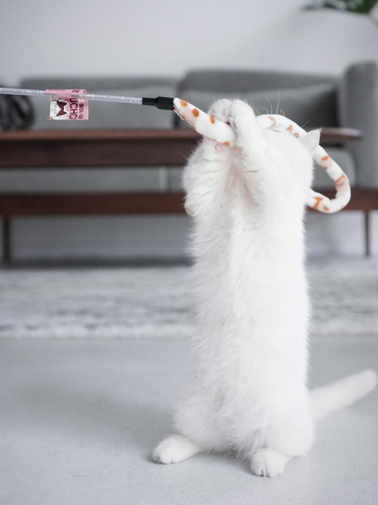 Katzenspielzeug mit Federn, Katzen-Teaser-Zauberstab, interaktives Katzenspielzeug, lustige Raupe, bunter Stab, Teaser-Zauberstab, Katzenzubehör für Haustiere