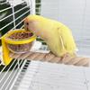 Wear-resistant Bird Cage Feeder Interactive Paw Grinding Bird Feeding Cup Non-slip Parrot Standing Pole For Cage