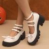 2025 Brand Ladies Shoes Buckle Strap Women's High Heels Butterfly-knot New Dress Plus Size Best Seller Mary Jane Shoes