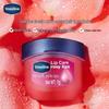 Vaseline Lip Balm Day & Night Set