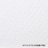 Holbein White Ibis Watercolor Paper Medium 300g F4 Size Spring Binding 12 Sheets 271314 WIS-F4