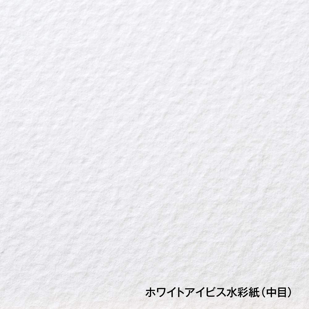Holbein White Ibis Watercolor Paper Medium 300g F4 Size Spring Binding 12 Sheets 271314 WIS-F4