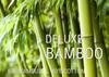 BAMBOO yarn BAMBOO COTTON 100g COL mint 17