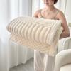 New Solid Color Multifunctional Double Layer Tafurong Blanket Lamb Wool Blanket Thickened Warm Leisure Office Nap Blanket