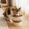 Stainless Steel Pet Food Bowl Large Capacity Anti-Spill Pet Bowl Cute Elevated Cat Bowl  Water Bowl