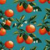 Tissus Décoratifs Extérieurs Oxford - Motif Fruits | Dx6749