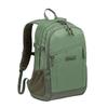 Coleman Backpack 25L Mens Womens Walker 25 Forest Green Day Trip Hiking Bag