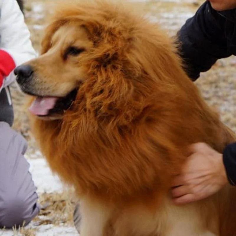 Dogs Emulation Lion Hair Mane with Tail for Medium To Large Sized Dogs Max 80cm Head Circumference Pet Cosplay Cap Scarf