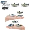 Meerestier Harzmodell Spielzeugpackung mit Thunfischen und Lachs für Heim-Aquarienausstellung