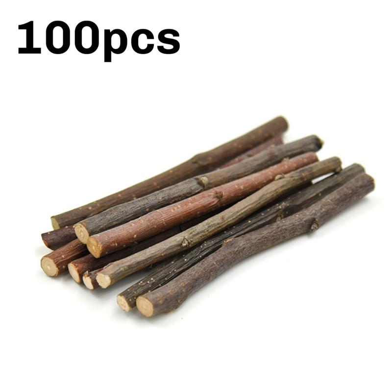 100Pcs Hamster Rabbits Teeth Grinding -Tree Stick Minerals Molar Stone For Chinchillas Hamster Pet Spare Part