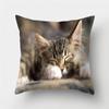 Cute Cat Print Decorative Cushions Pillowcase Polyester Cushion Cover Throw Pillow Sofa Living Room Decoration Pillowcover