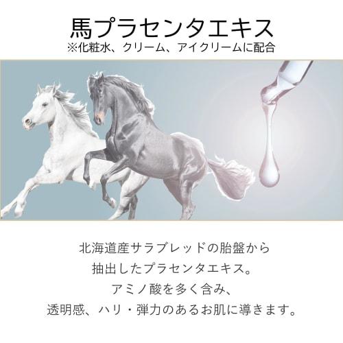 Horse oil rich moisture cream RICH MOISTURE CREAM 30g (cream)