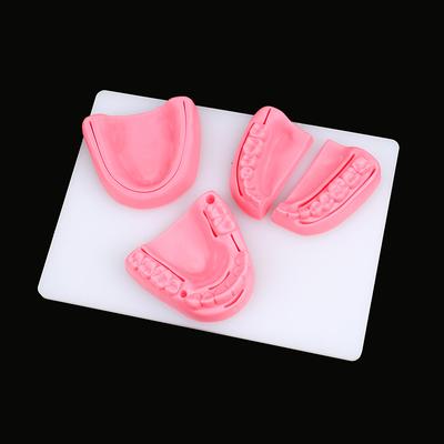 4 Stücke Dental Simulation Oral Naht Modell Gum Naht Lehre Ausbildung Ausrüstung