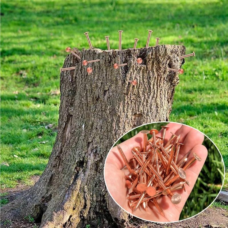 25Pcs Purely Copper Nails to Killing Trees Stump Removal Spikes Hardware Nails Tree Stump Killers Nails Easy to Use