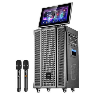 SAST SW-39D All-in-One Karaoke Machine with Display (CN Version)