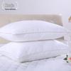 HuaJu Pure Cotton Feather Velvet Hotel Pillow