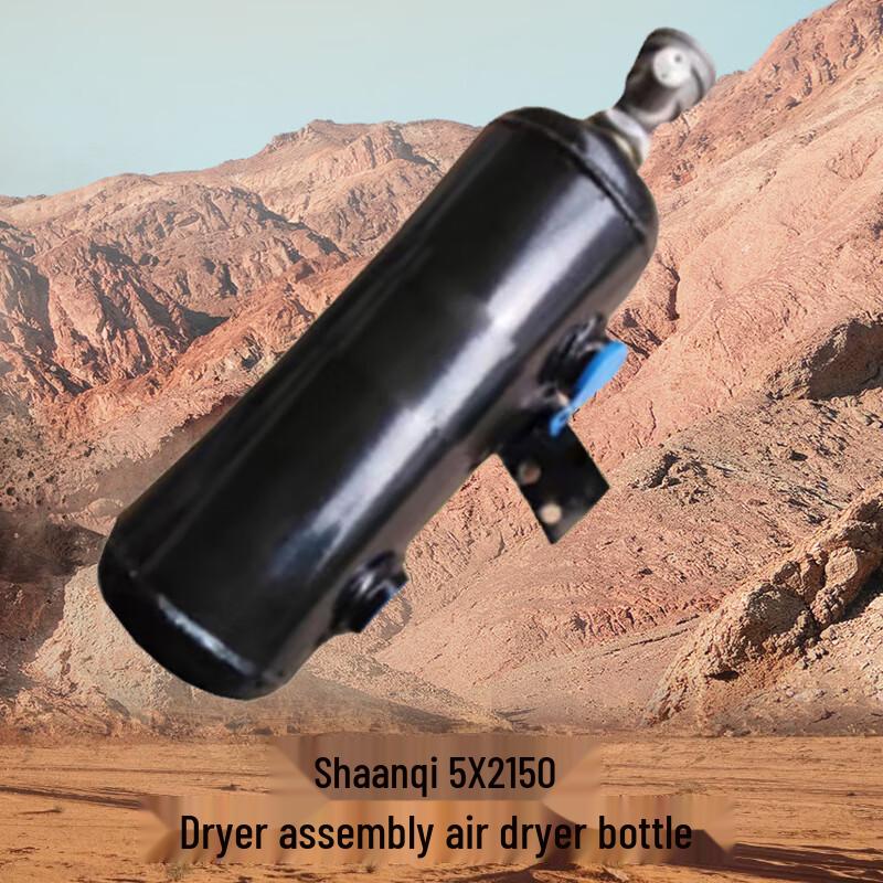 Dashixiong Air Dryer Assembly for Shaanqi SX2150