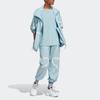 adidas Neo Graphic Print Polo Collar Comfortable Fleece Sweatshirt Unisex Light Blue IC6015
