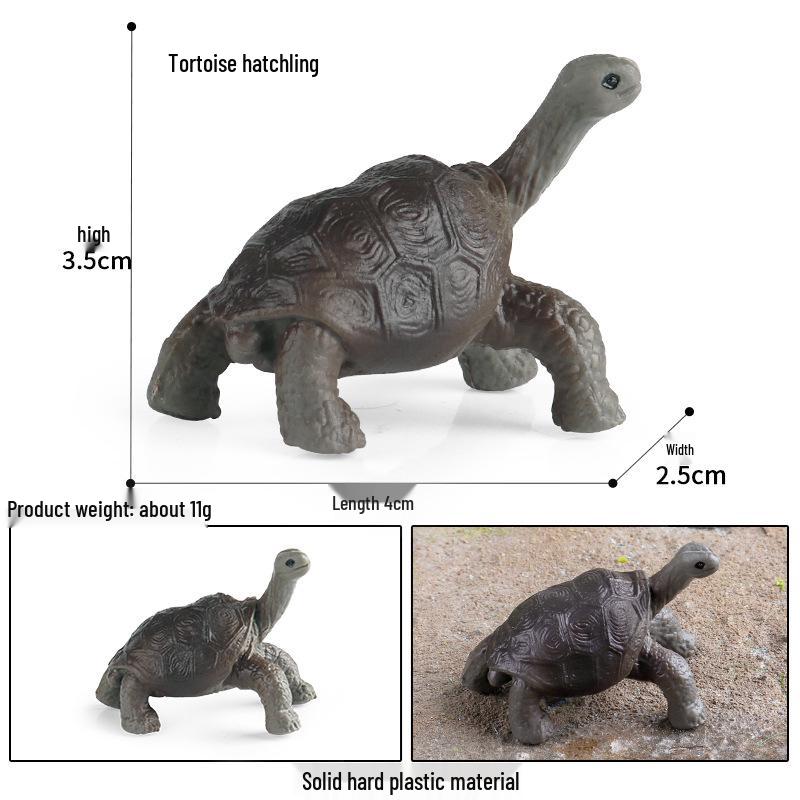 Galapagos Giant Tortoise Educational Model Toy for Kids