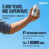 Alevia Capsule Biologiche di Amla 1000mg, Integratore Naturale di Frutto di Uva Spina Indiana, Benessere Ayurvedico 60 Capsule