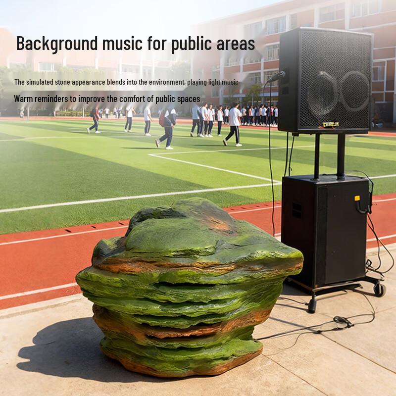 DZ30 Outdoor Waterproof Stone Landscape Speaker (CN Version)