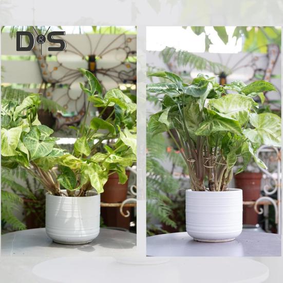 Plant Stem Holder Monstera Plant Stabilizer Metal Plant Support Stem Stabilizer for Indoor Plants Potted Flowers Upright Growth