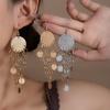 Wind Frosted Sequin Round Hollow Tassel Long Style Light Luxury Earrings