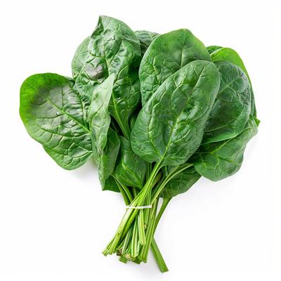 200 Viroflay Monstrous Spinach Seeds