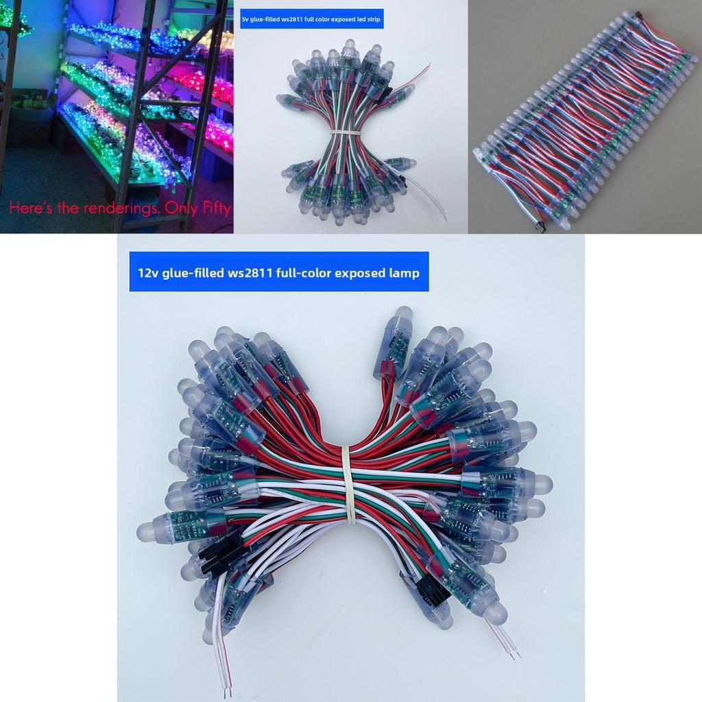 Rgb Waterproof Led Light String For Signage And Holiday Decor