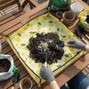 Waterproof Gardening Mat Thickened Succulent Planting Mat Soil Mixing Mat  Home Gardening