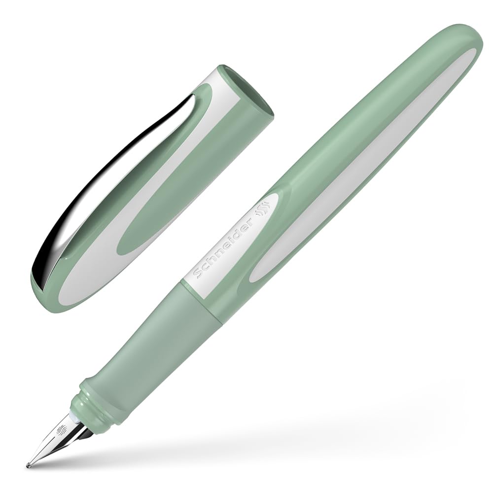 Schneider RAY Fountain RYFP168120F F/Fine Pen, (Pistachio, Black)