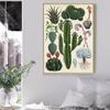Moderní rostlina Květinové jeskyně Malba Vintage Botanický kaktus Plakáty a obrazy Nástěnný umělecký obraz do koupelny Domácí dekorace Cuadros