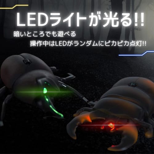 [Just like the real thing! Realistic movements!] Radio-controlled insect stag beetle set, 2 assorted species, rechargeable. [Gift/Easy to use/Compact]