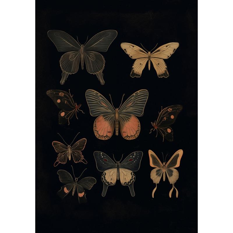 Vintage Dark Academia Moths Victorian Gothic Insect Illustration Art Posters Canvas Painting Wall Prints Picture Room Home Decor